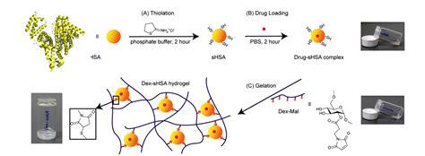  Dextran: 혁신적인 생체재료로서의 가능성과 그 활용 분야에 대한 탐구!