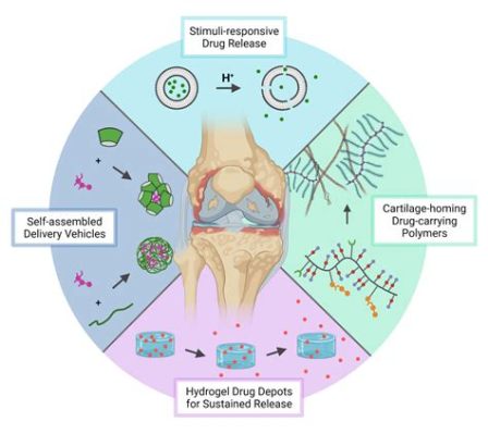  Ketose:  High-Performance Biomaterial for Tissue Engineering and Drug Delivery?!