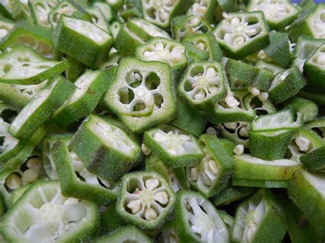  Okra Gum:  Unlocking the Potential of a Multifunctional Hydrocolloid for Food and Pharmaceuticals!